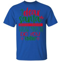 dear santa before i explain t shirts long sleeve hoodies 11