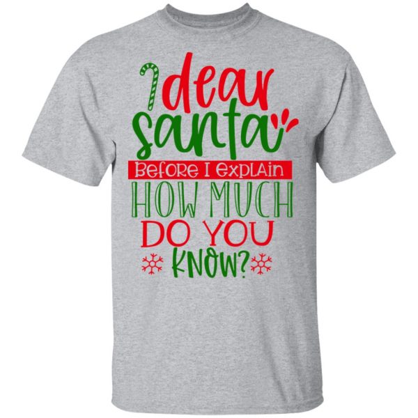dear santa before i explain t shirts long sleeve hoodies 3