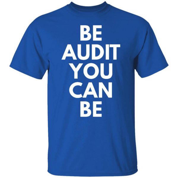 be audit you can be t shirts long sleeve hoodies 11