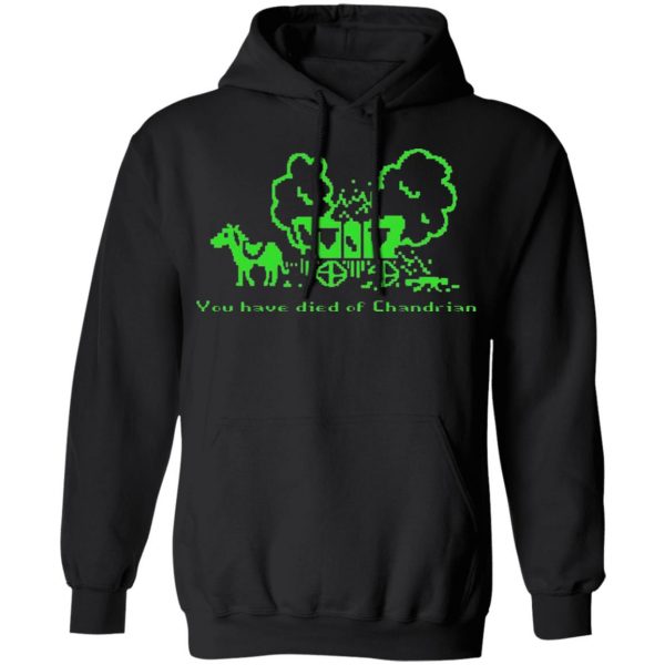 you have died of chandrian t shirts long sleeve hoodies 11