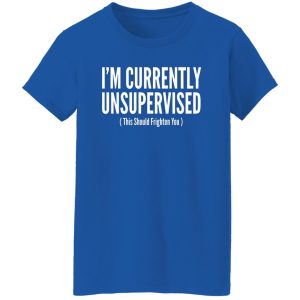 I’m Currently Unsupervised T-Shirts, Long Sleeve, Hoodies 2