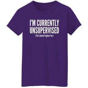 I’m Currently Unsupervised T-Shirts, Long Sleeve, Hoodies 3