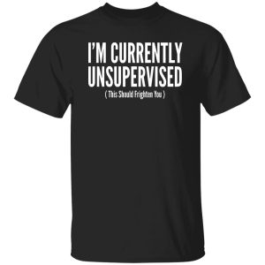I’m Currently Unsupervised T-Shirts, Long Sleeve, Hoodies 5