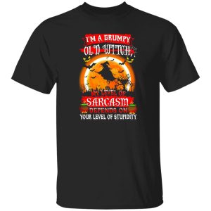 I’m A Grumpy Old Witch My Level Of Sarcasm Depends On Your Level Of Stupidity Halloween T-Shirts, Long Sleeve, Hoodies