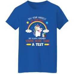 Try your hardest but You_re more than a Test Teacher T-Shirts, Long Sleeve, Hoodies
