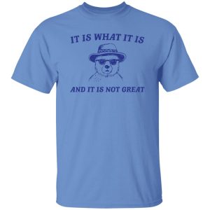 It Is What It Is And It Is Not Great T Shirts, Hoodies, Long Sleeve