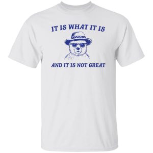 It Is What It Is And It Is Not Great T Shirts, Hoodies, Long Sleeve