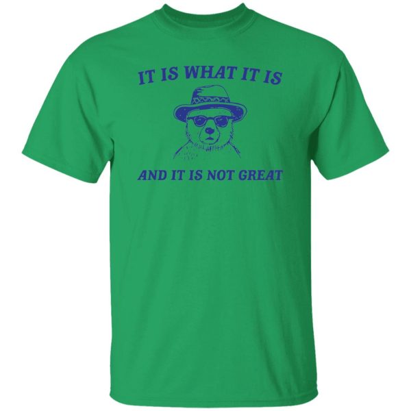 It Is What It Is And It Is Not Great T Shirts, Hoodies, Long Sleeve