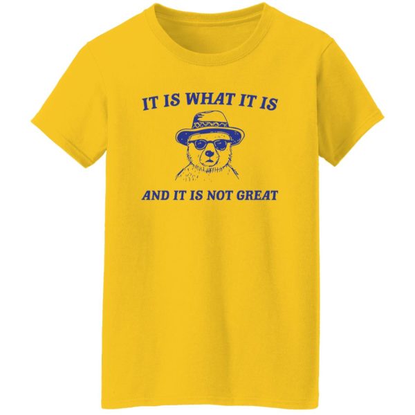 It Is What It Is And It Is Not Great T Shirts, Hoodies, Long Sleeve