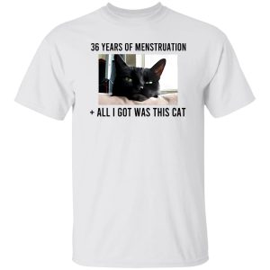 36 Years Of Menstruation All I Got Was This Cat T Shirts, Hoodies, Long Sleeve