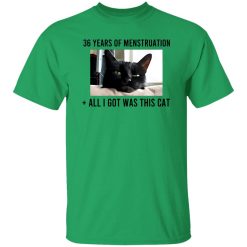 36 Years Of Menstruation All I Got Was This Cat T Shirts, Hoodies, Long Sleeve