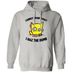 Cat Cannot Brain Today I Haz The Dumb T Shirts, Hoodies, Long Sleeve