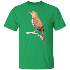 Huitlacoche Bird Cuitcacoche Pico Curvo Mexican Bird T-Shirts, Long Sleeve, Hoodies