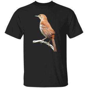 Huitlacoche Bird Cuitcacoche Pico Curvo Mexican Bird T-Shirts, Long Sleeve, Hoodies