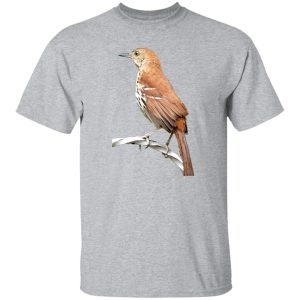 Huitlacoche Bird Cuitcacoche Pico Curvo Mexican Bird T-Shirts, Long Sleeve, Hoodies