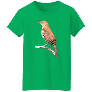 Huitlacoche Bird Cuitcacoche Pico Curvo Mexican Bird T-Shirts, Long Sleeve, Hoodies