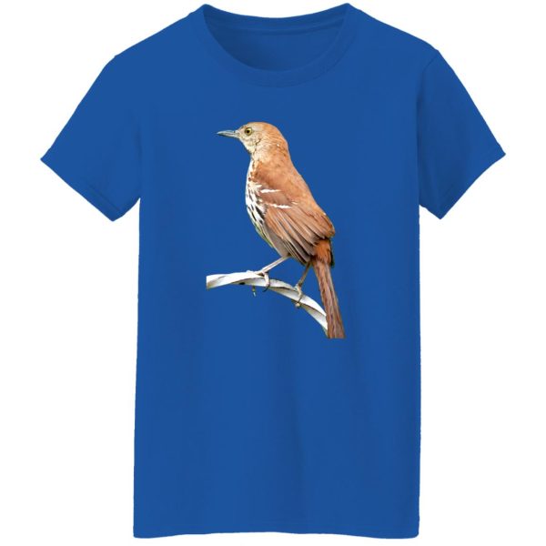 Huitlacoche Bird Cuitcacoche Pico Curvo Mexican Bird T-Shirts, Long Sleeve, Hoodies