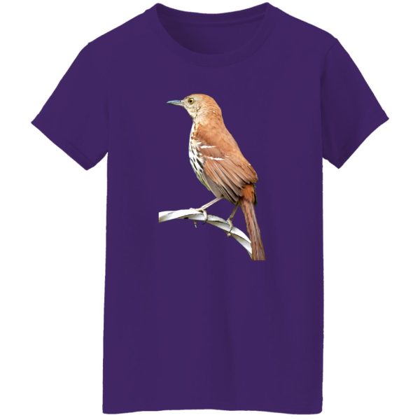 Huitlacoche Bird Cuitcacoche Pico Curvo Mexican Bird T-Shirts, Long Sleeve, Hoodies