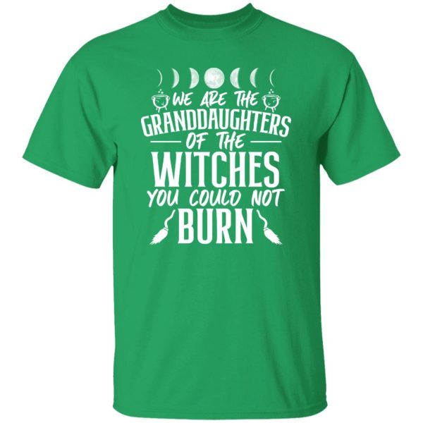 We Are The Granddaughters Of The Witches You Could Not Burn T-Shirts, Long Sleeve, Hoodies