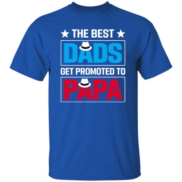 The Best Dads Get Promoted To Papa Father’s Day Shirt