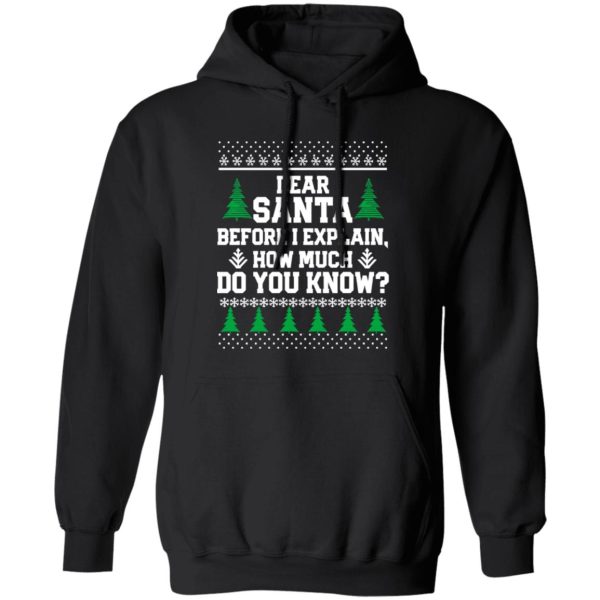 Dear Santa Before I Explain How Much Do You Know Funny Ugly Christmas Shirt