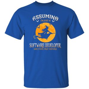 Assuming im just a Software Developer was your first mistake Shirt