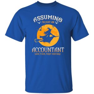 Assuming im just an Accountant was your first mistake Shirt